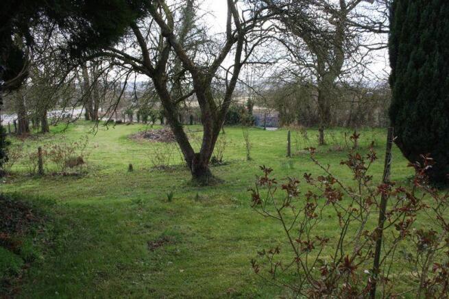 Garden 1