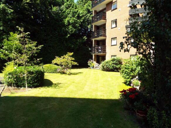 Photo 10