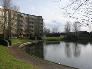 LAKE VIEW