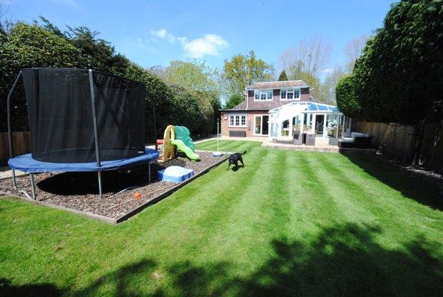 Long Rear Gardens