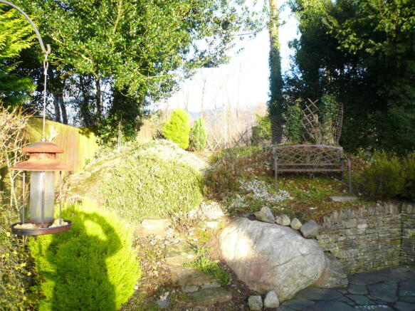 Photo 11