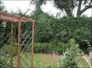 Rear Garden 2