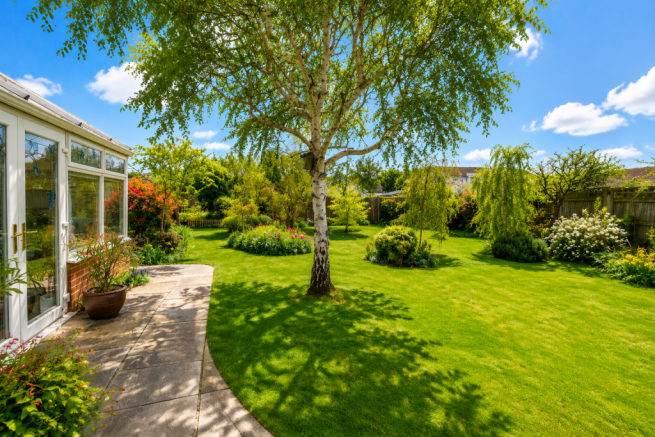 Rear Garden 1