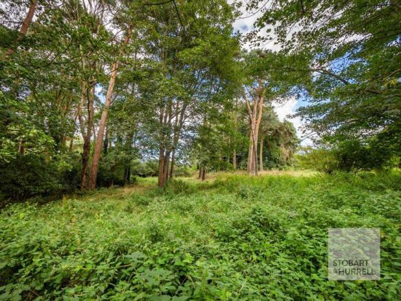 Woodland