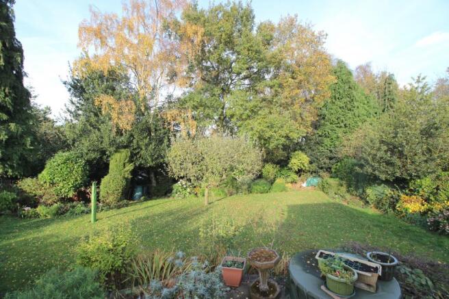 Garden at Back