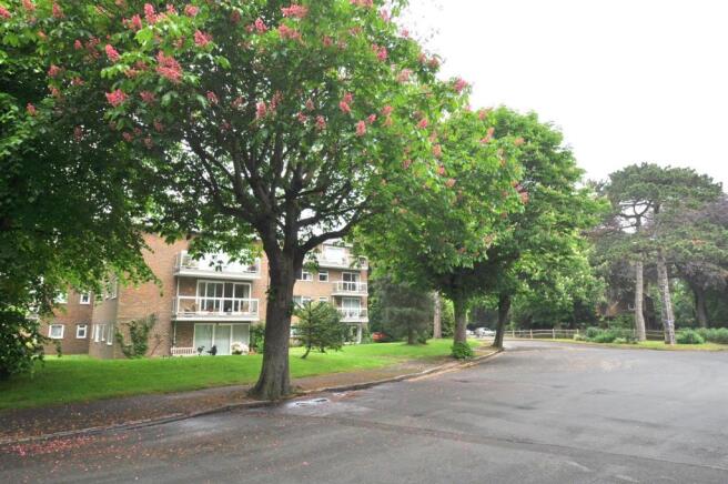 Block Roadside Setting