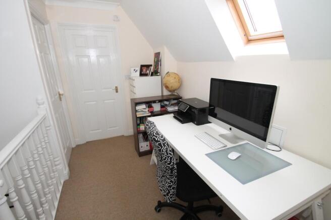 Study Area