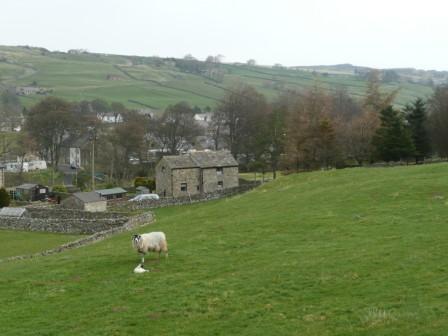 Surroundings