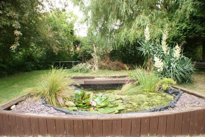 Fishpond