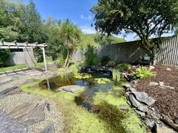 Pond