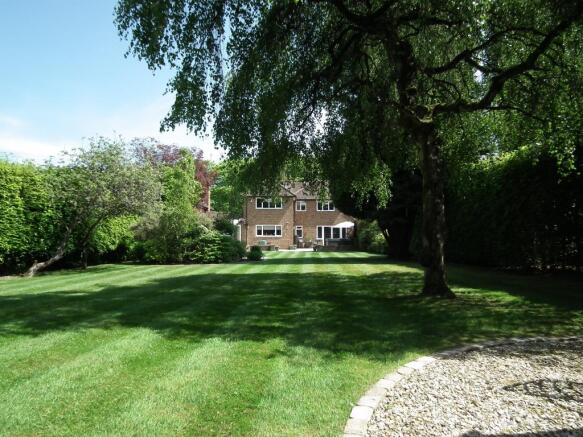 Garden 4