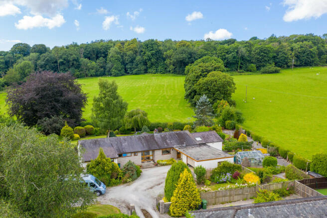 Woodview Drone