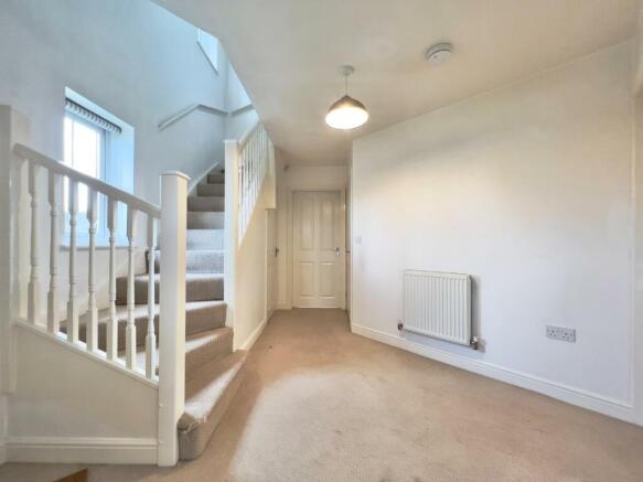 IMG_6253.jpg