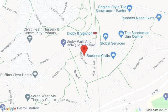 Google Maps Image