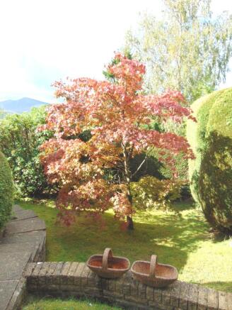Photo 38