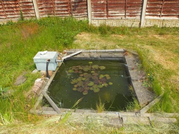 Pond.JPG