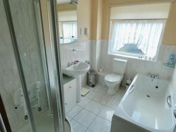 Photo 11