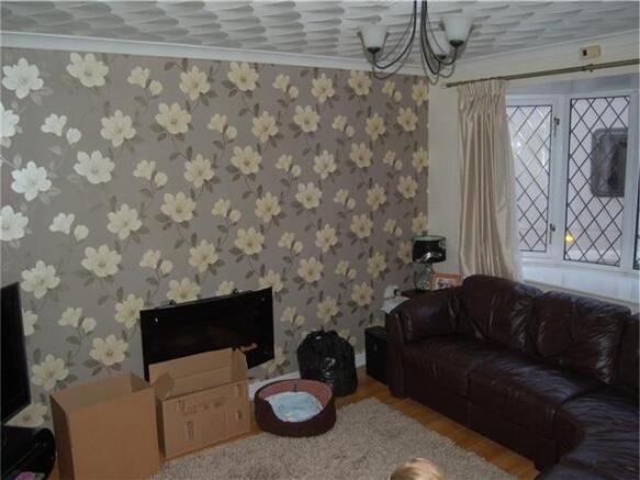Picture 3