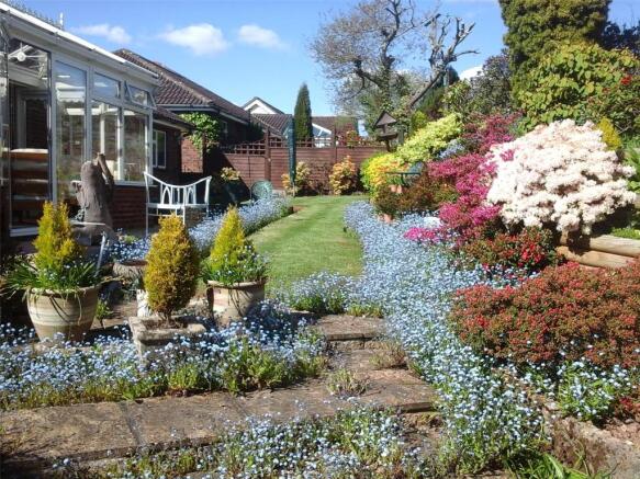 Summer Garden Shot