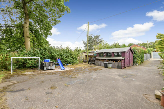 Photo 13