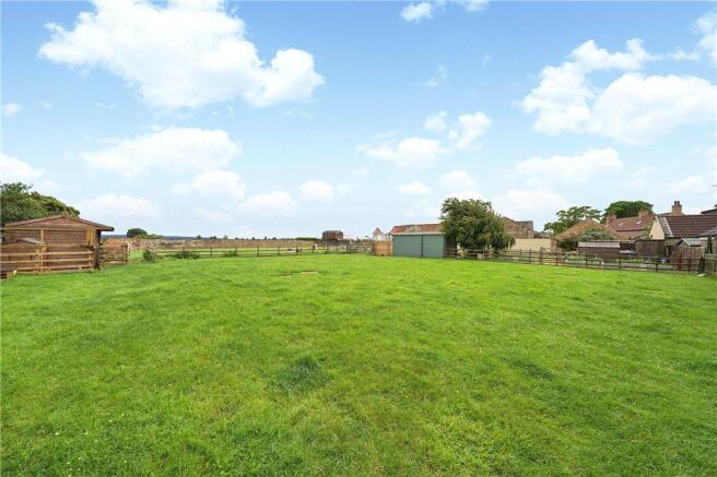Paddock Grassland