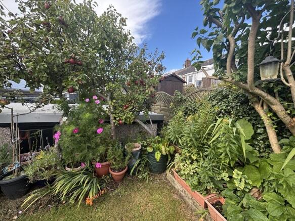 garden 1