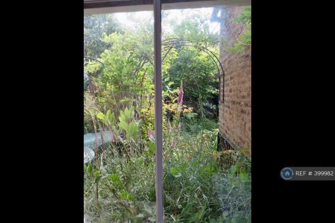 View From The Kitchen Window
