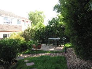 Garden rear
