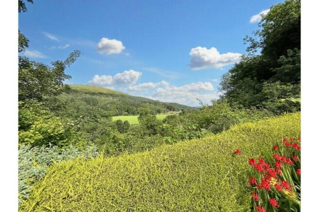 View from Garden