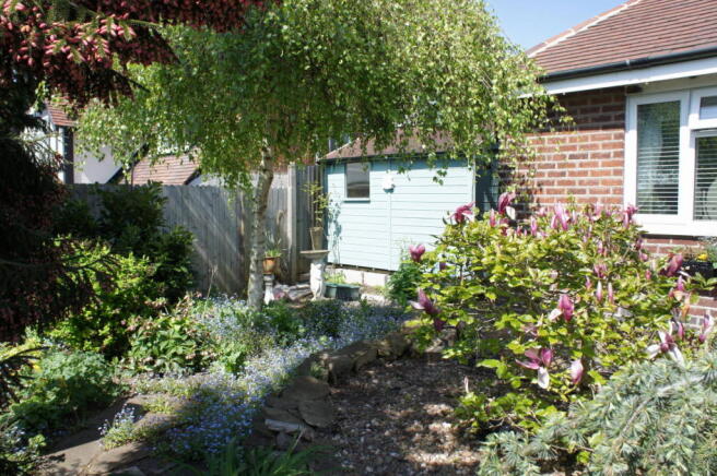 Photo 23