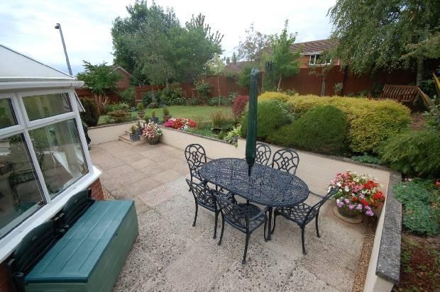 Patio Area