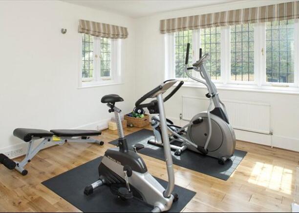 Gym/Bedroom