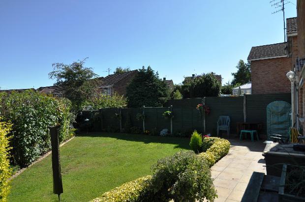 Sunny gardens