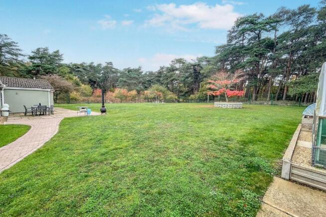 tlc_52e3d447-2d1d-4eda-8096-81c6413e1544_e65a66f.j