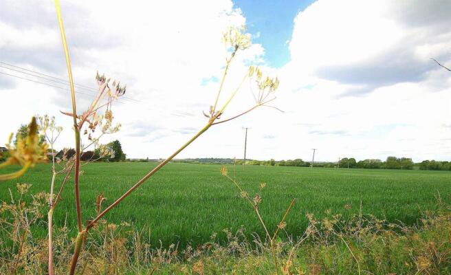 Summer Rear View.