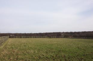 Pasture fields