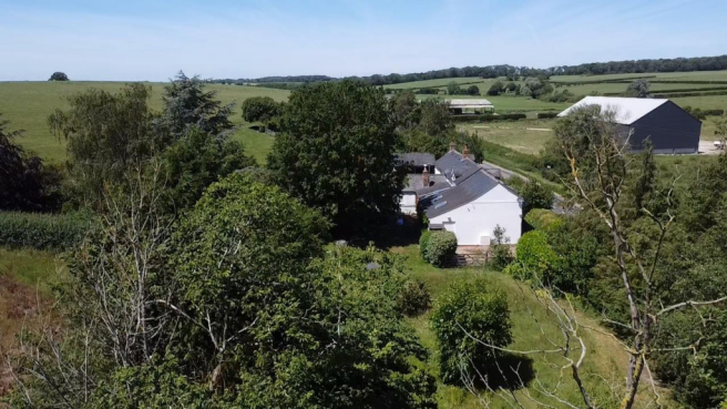Side Garden Drone Picture