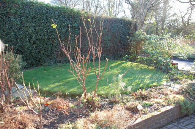 Picture 13