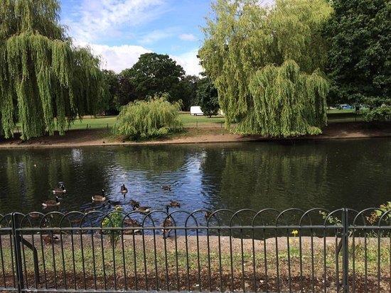 wardown-park.jpg