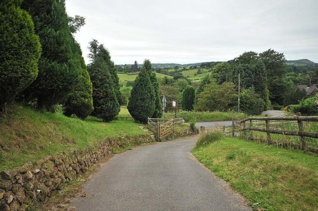 DRIVEWAY AND VIEW