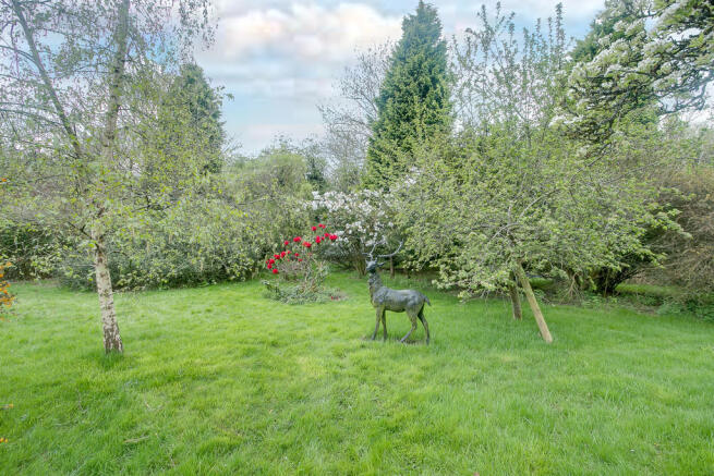 Garden - Aspect 5