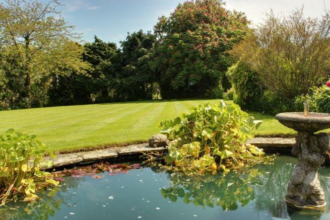 Garden at Back