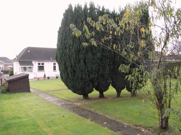 Rear Gardens