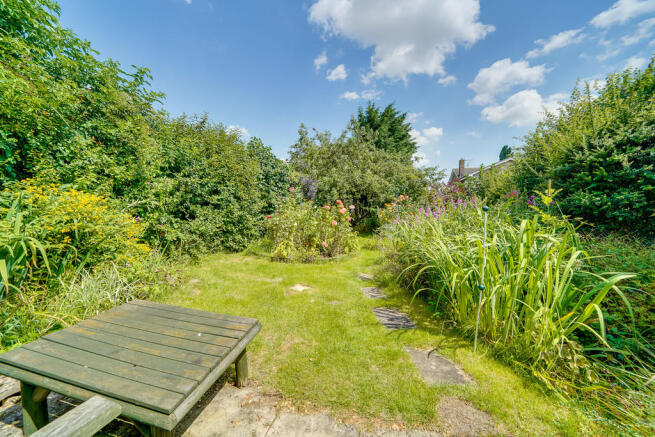 Back Garden