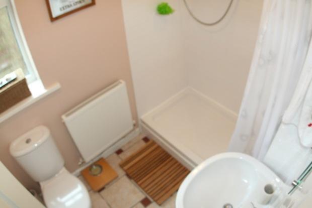 Downstairs Shower Room