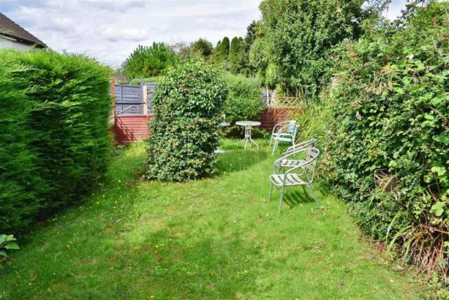 Further Area of Garden