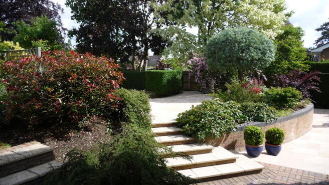 Photo 15
