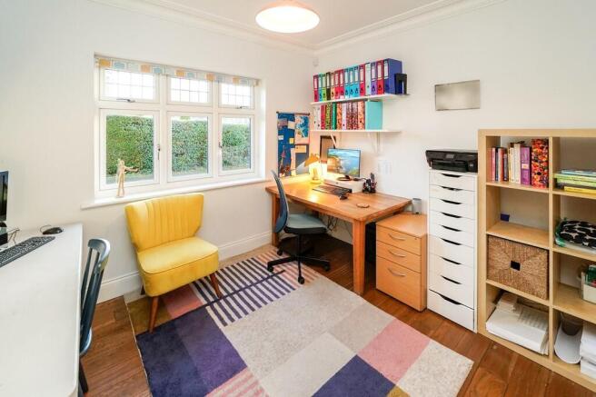 The Study