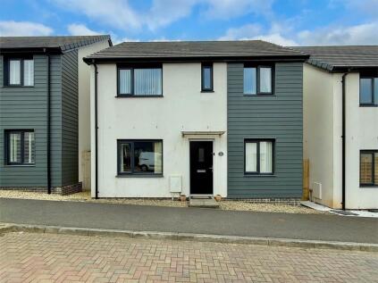 Saltram Meadow, Plymouth