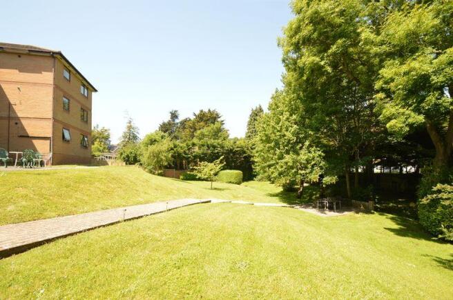 Communal Garden